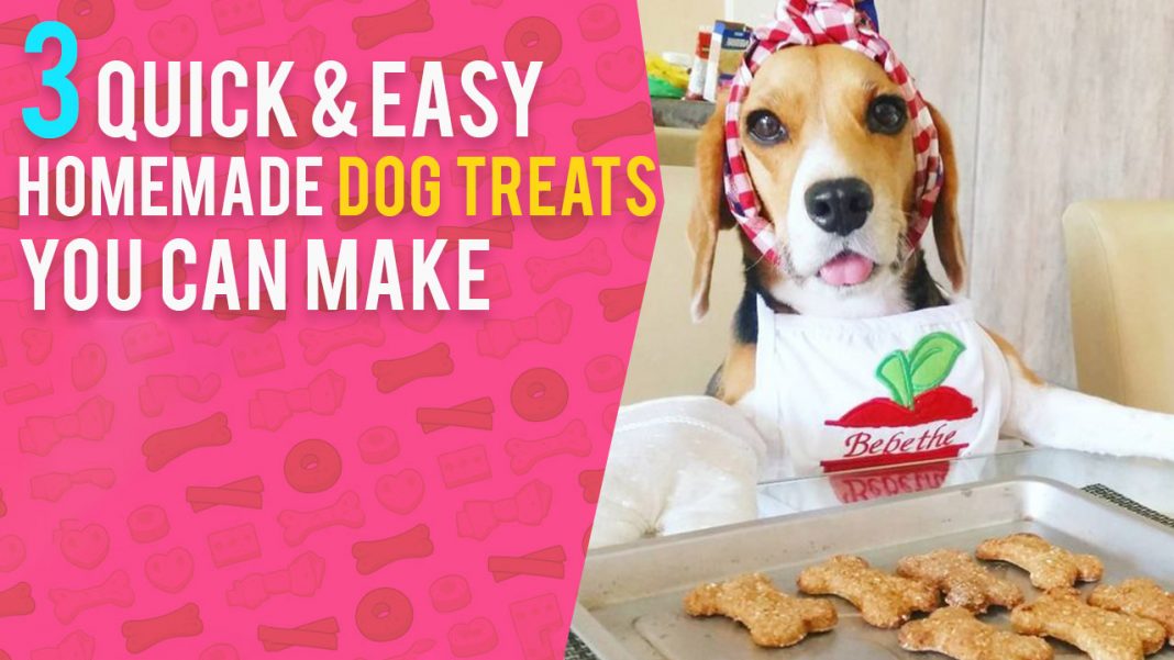 3 Easy Homemade Dog Treats You Can Make For Your Beagle