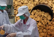 This Is The Truth That They Don’t Want You To Know About Dog Food Homemade dog food and commercial food