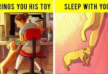 11 Ways Scientifically Proven That Dogs Say “I Love You” Dogs love you
