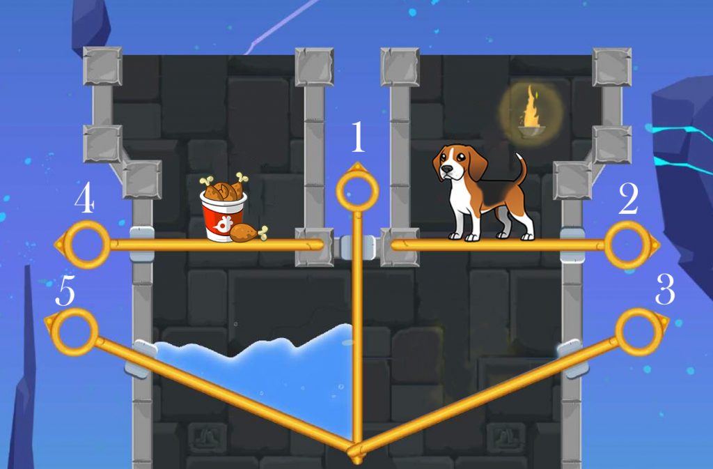 Dog Quiz Puzzle