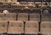 Service Dogs Attending A Live Musical As Part Of Their Training, And Their Photo Goes Viral Service Dogs Attending A Live Musical As Part Of Their Training, And Their Photo Goes Viral
