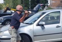 ‘Lifeless Dog’ Saved From Boiling Hot Car By A Brave Man With An Axe Rescue a dog from a hot car