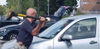 ‘Lifeless Dog’ Saved From Boiling Hot Car By A Brave Man With An Axe Rescue a dog from a hot car