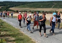 Les randonneurs se mobilisent contre le cancer : un élan de solidarité en pleine nature